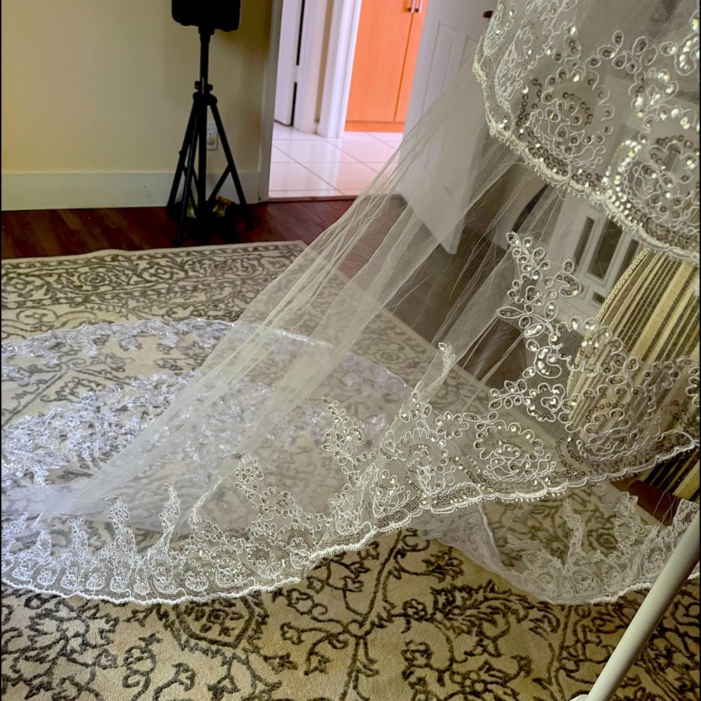Bridal veil  with a face cover